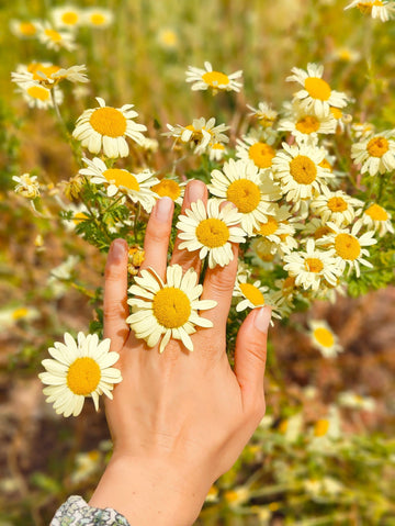 Nana Latta's Journey into Handmade Natural Skincare - Nana Latta Skincare